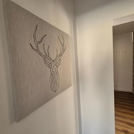 Nestop Colli Albani *